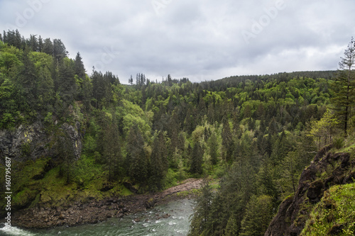 Evergreen Hills Around Snoqualmie River