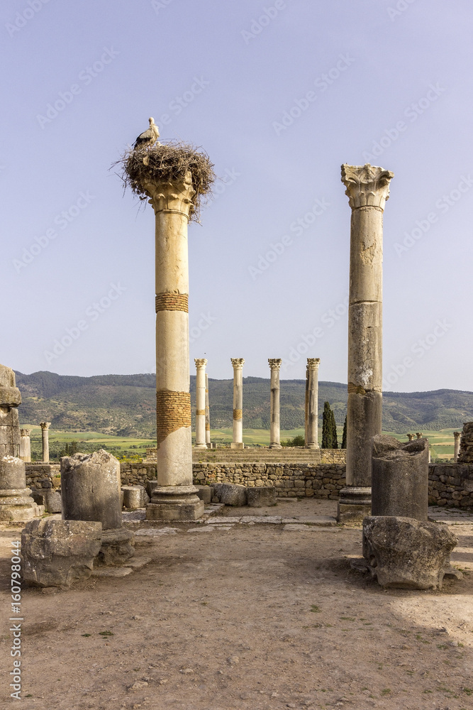 Archaeological Site of Volubilis, ancient Roman empire city, Unesco World Heritage Site