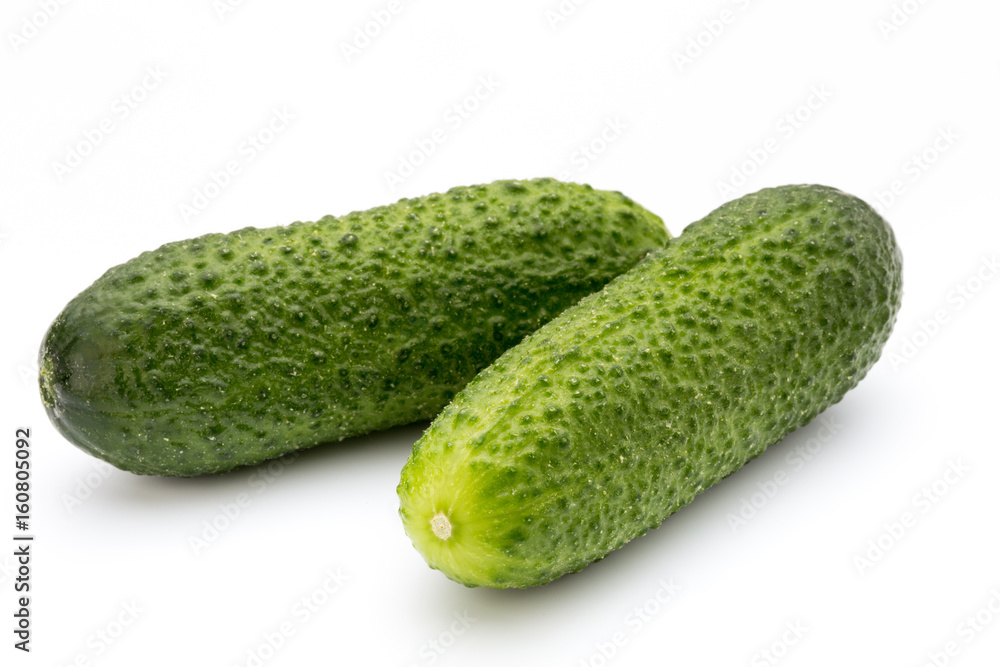 The first spring ecologically cucumbers. The first spring ecologically cucumbers.