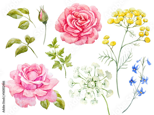 Watercolor floral set