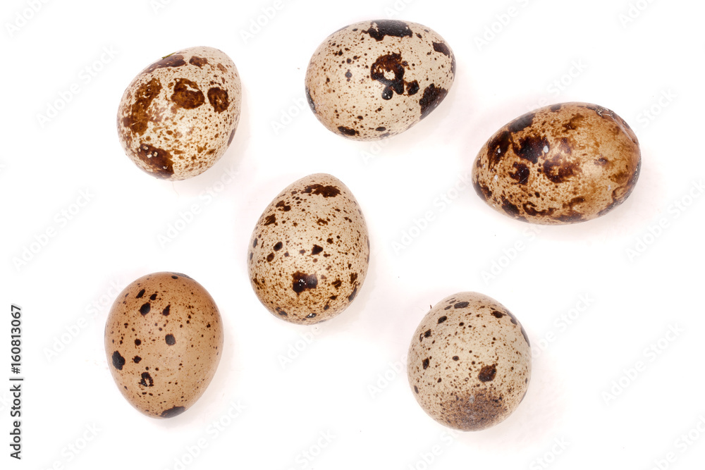 Obraz premium Several quail eggs isolated on white background. Top view