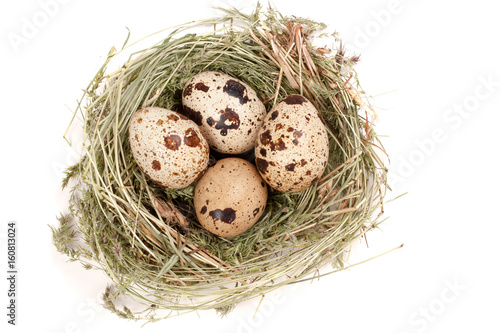 four quail eggs in a nest isolated on white background. Top view