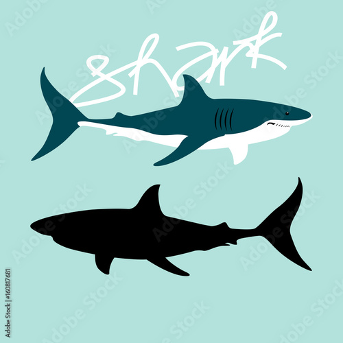 Shark color vector illustration style Flat profile black silhouette