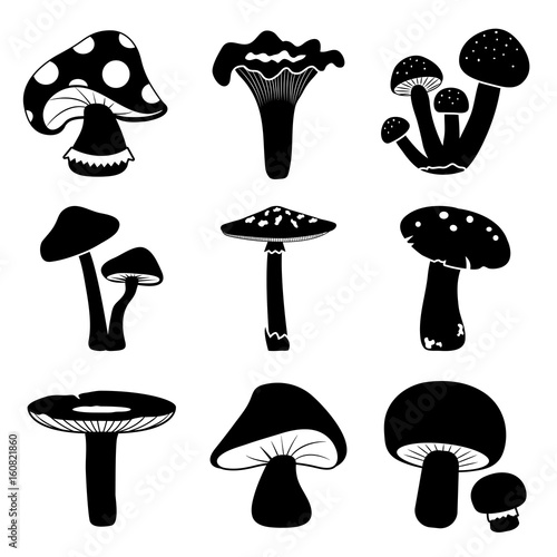 Black and white mushrooms vector set. Different mushrooms.
