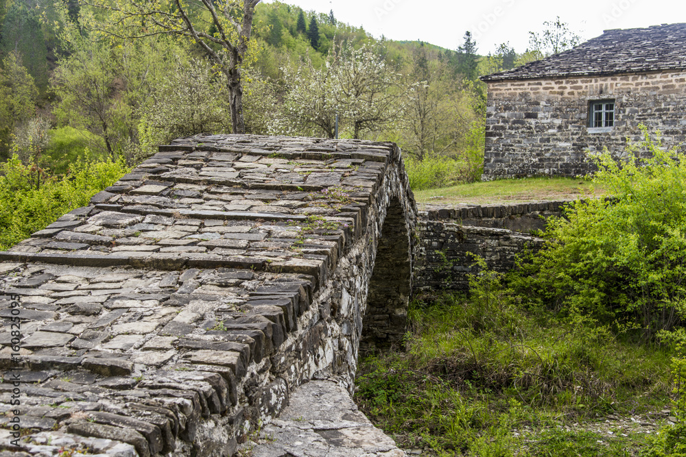 Stone bridge, Zagoria, Greece