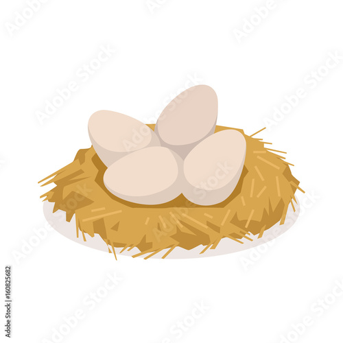 Chicken eggs in the nest, poultry breeding vector Illustration
