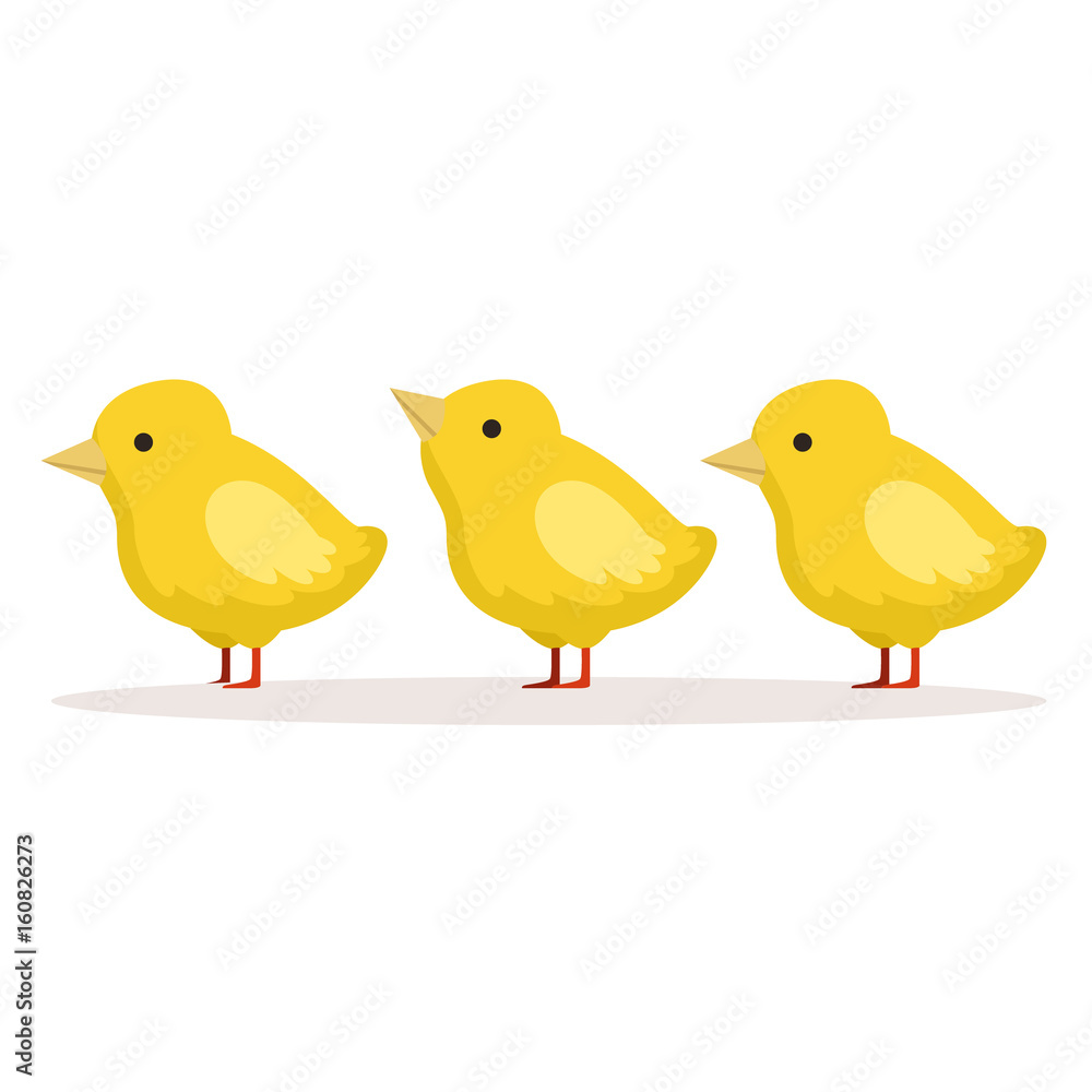 Three cute chickens standing one after another vector Illustration