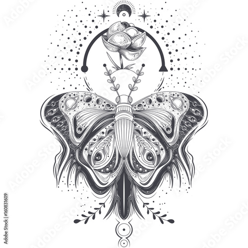 Vector illustration of a sketch, tattoo art butterfly in abstract style with a space pattern, mystical, astrological symbol. Print, template, design element