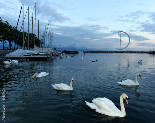 Lausanne quay of Geneva Lake with swans and yacht, Switzerland