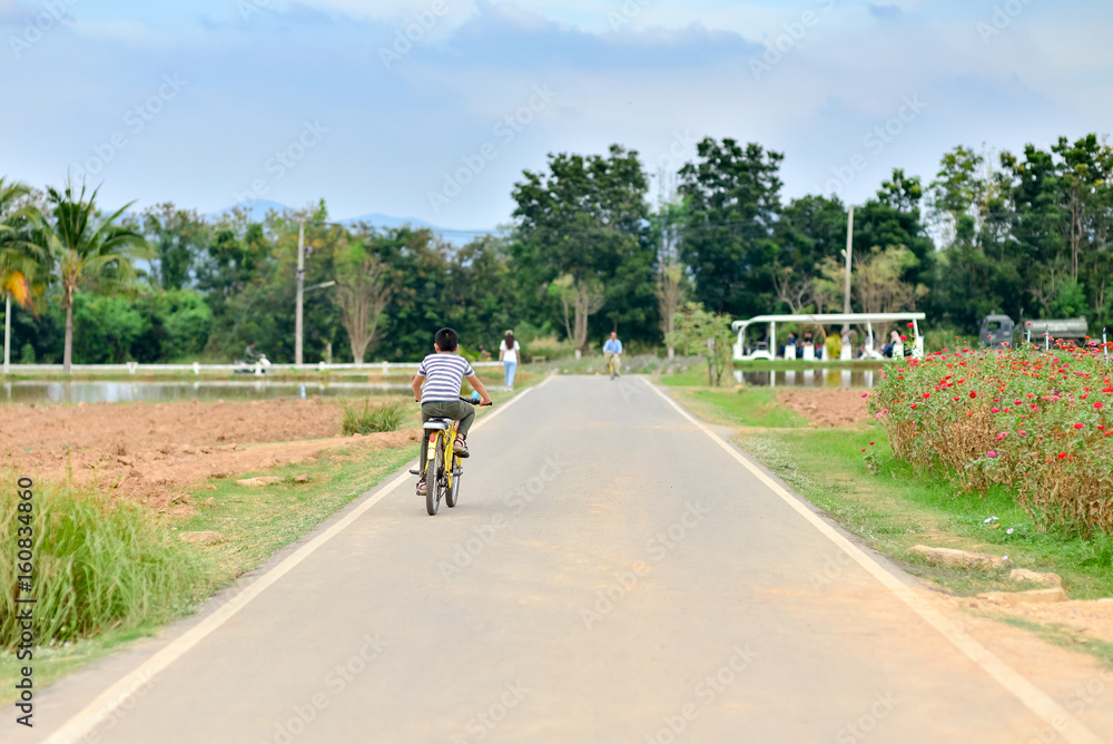 Back of boy riding bicycle outdoor. Back of boy riding bicycle outdoor.