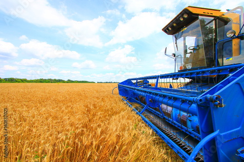 Agriculture farmer wheat harvest sunflower