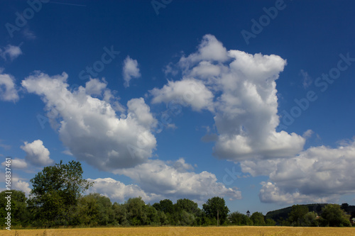 blue sky, yellow field, trees, green, panorama, nature, upper austria, wallpaper, background, © Petra
