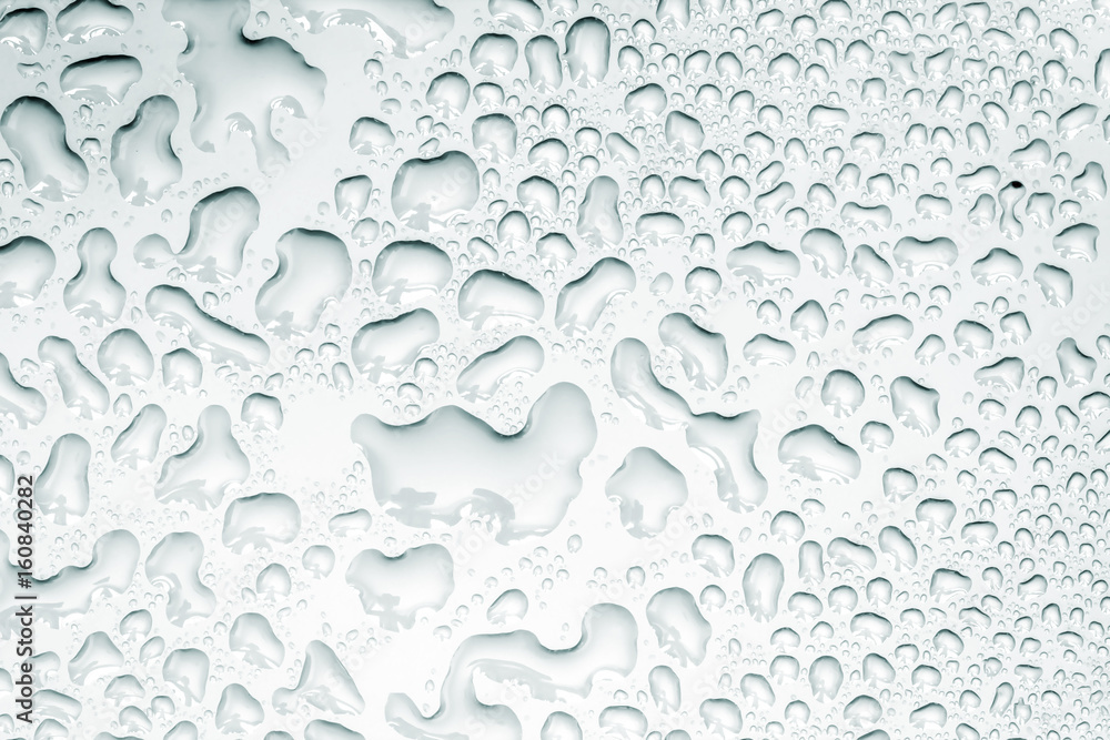The Abstract water drop on surface of white background The Abstract water drop on surface of white background