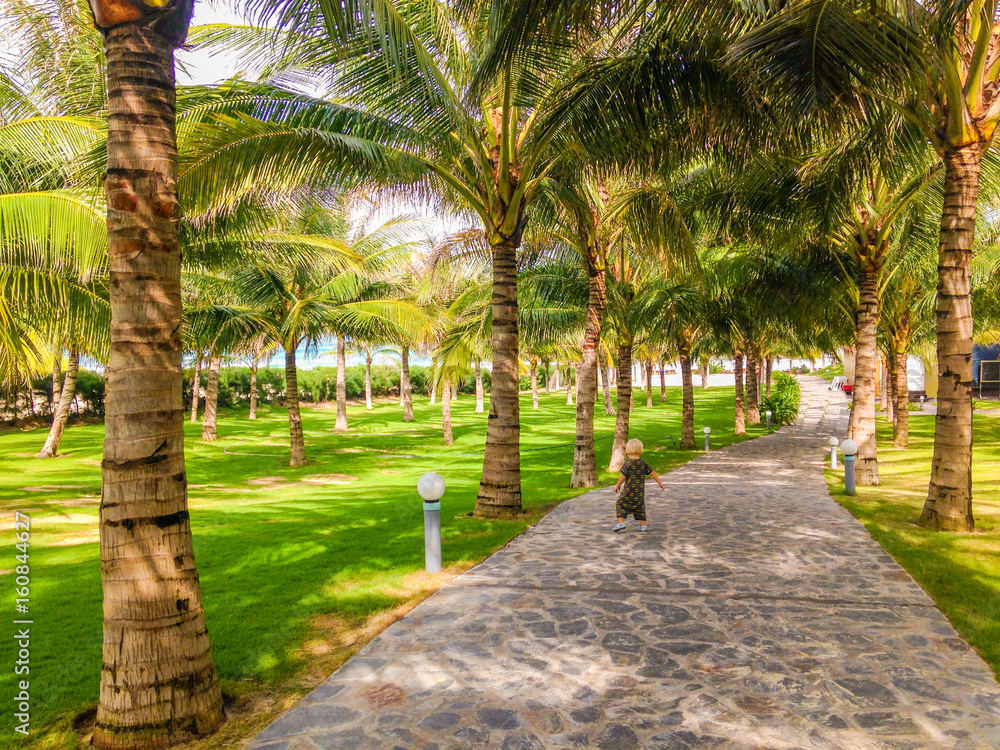 Road at tropical resort with palms and groomed lawn, Vietnam, Nha Trang