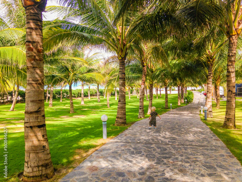 Obraz na płótnie Road at tropical resort with palms and groomed lawn, Vietnam, Nha Trang w salonie
