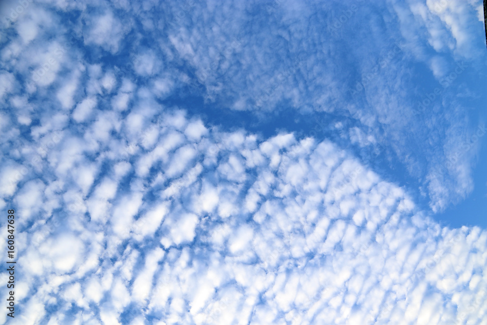 sky Cloud in the holiday summer bright sky Cloud in the holiday summer bright