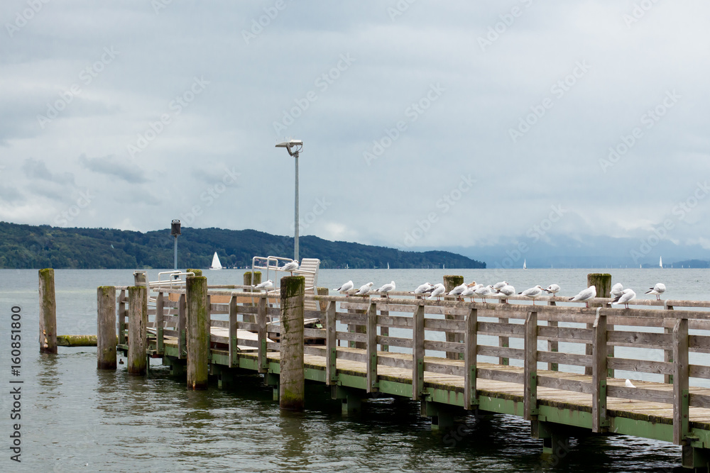 Seagulls on the dock. Long wooden pier with lots of sea birds. Mountains. Storm rising. Turquoise water, dramatic sky.