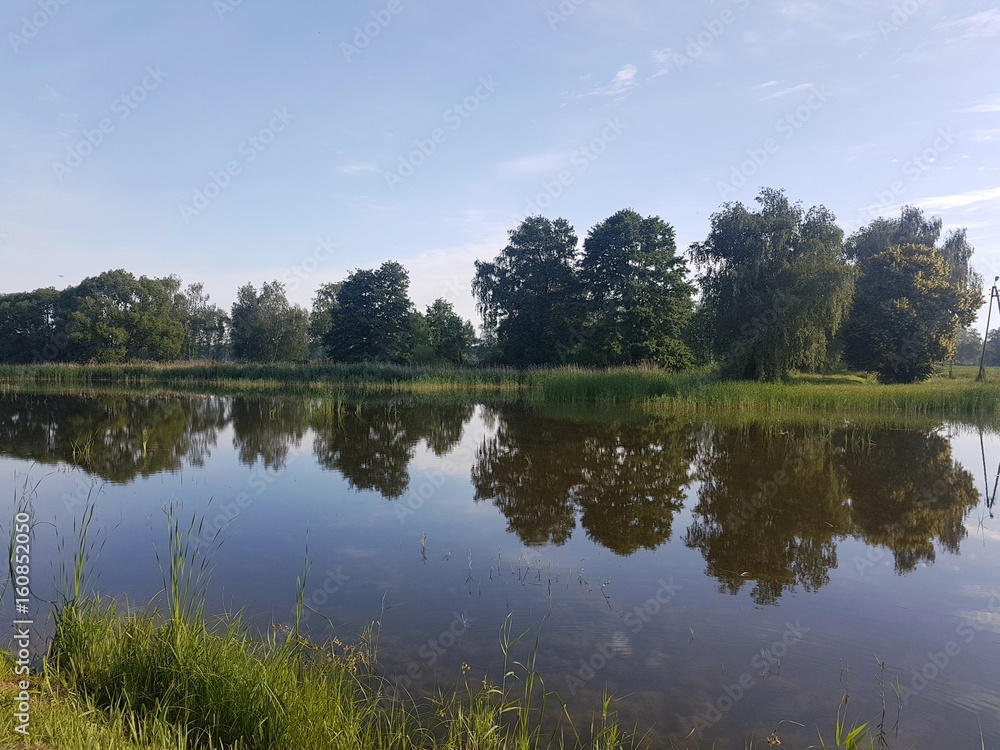 Fototapeta premium Staw