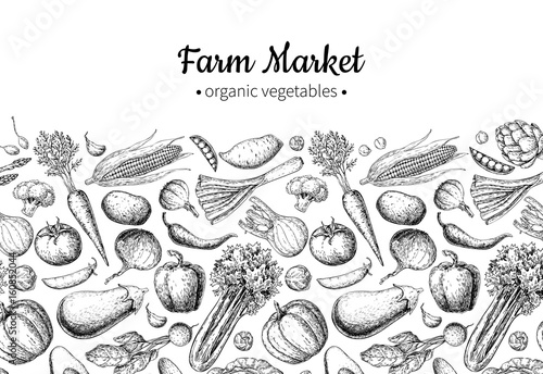 Vegetable hand drawn vintage vector illustration. Farm Market poster. Vegetarian set of organic products.