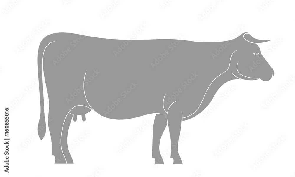 Cow silhouette. Isolated cow on white background