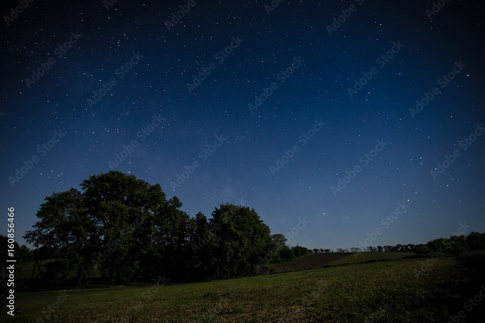 Night sky over a field