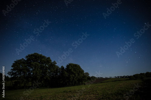Night sky over a field