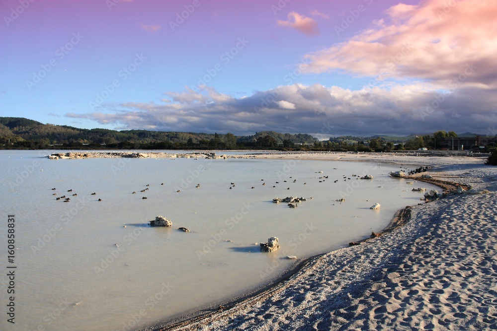 Naklejka premium Lake Rotorua