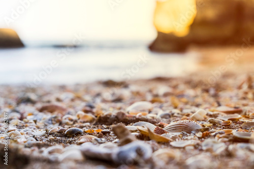 Seashells covering the beaches of Lagos, Portugal as the waves roll in at sunset.