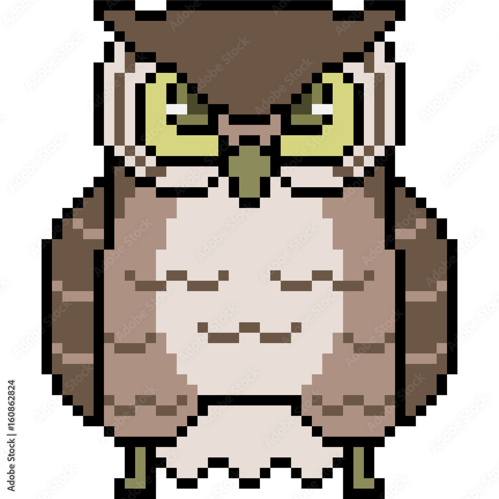 Fototapeta premium vector pixel art owl