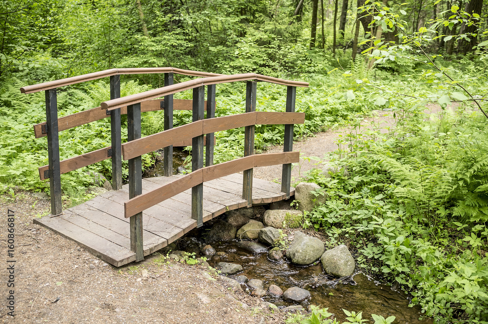 Trail leads to a small wooden bridge over a stream in summer forest. Trail leads to a small wooden bridge over a stream in summer forest.