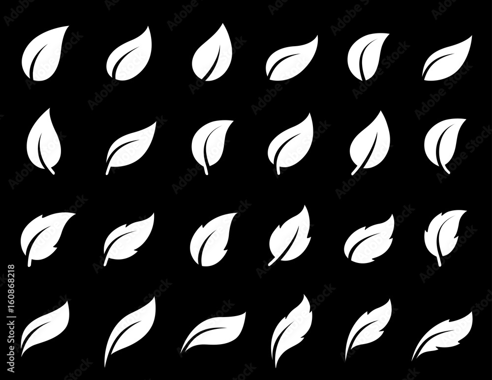 Fototapeta premium abstract leaf icons set