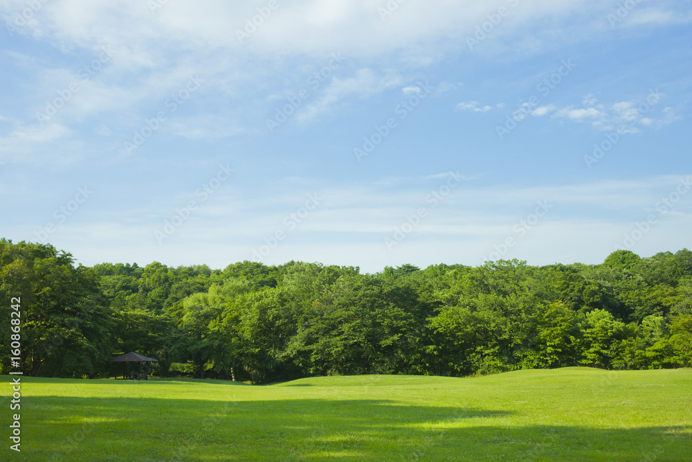 公園 芝生 公園 芝生