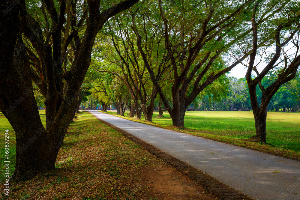 Tree Tunnel at Si Satchanalai Historical Park, a UNESCO World Heritage Site in Sukhothai, Thailand Tree Tunnel at Si Satchanalai Historical Park, a UNESCO World Heritage Site in Sukhothai, Thailand