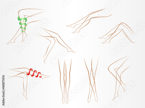 contours of slender female legs in various poses on a light background