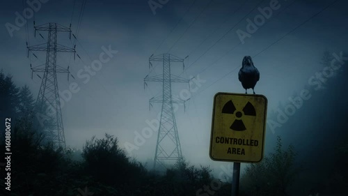 Crow Perches On Nuclear Radiation Sign photo