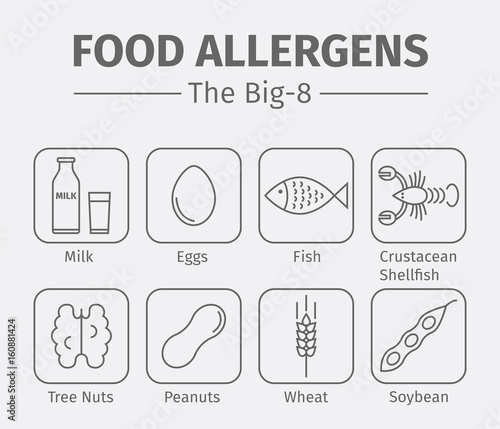 Food allergens line icons. A group of the eight major allergenic foods is often referred to as the Big-8.