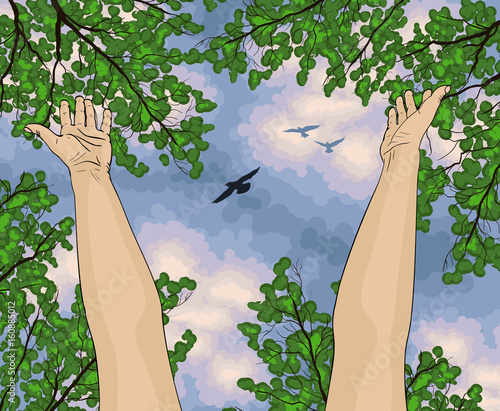 Human arms open upwards, view from below on trees and blue sky