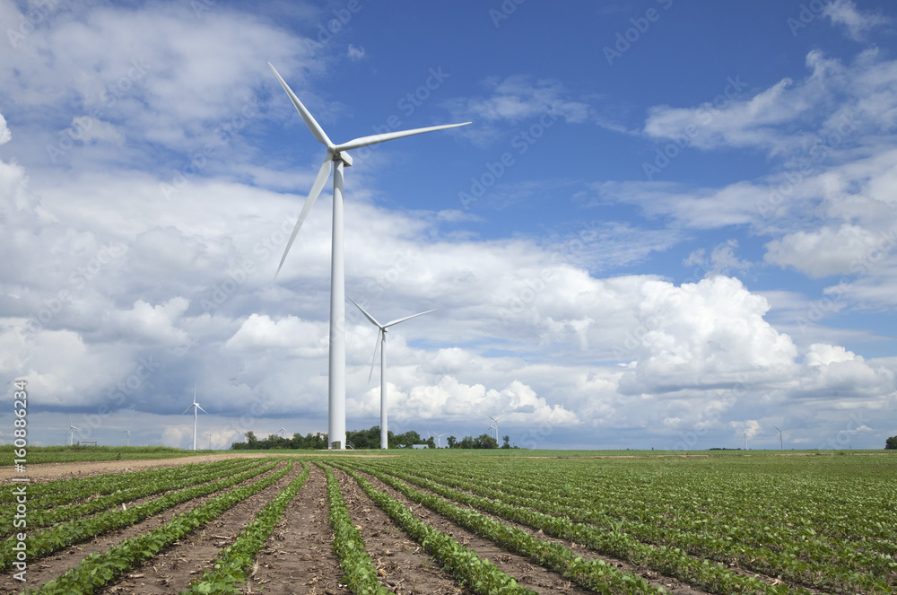 Wind turbines in soybean field on sunny day with clouds and blue sky