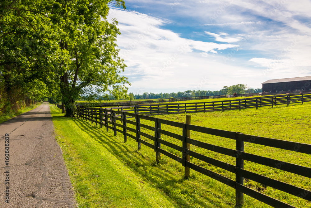 Country landscape.