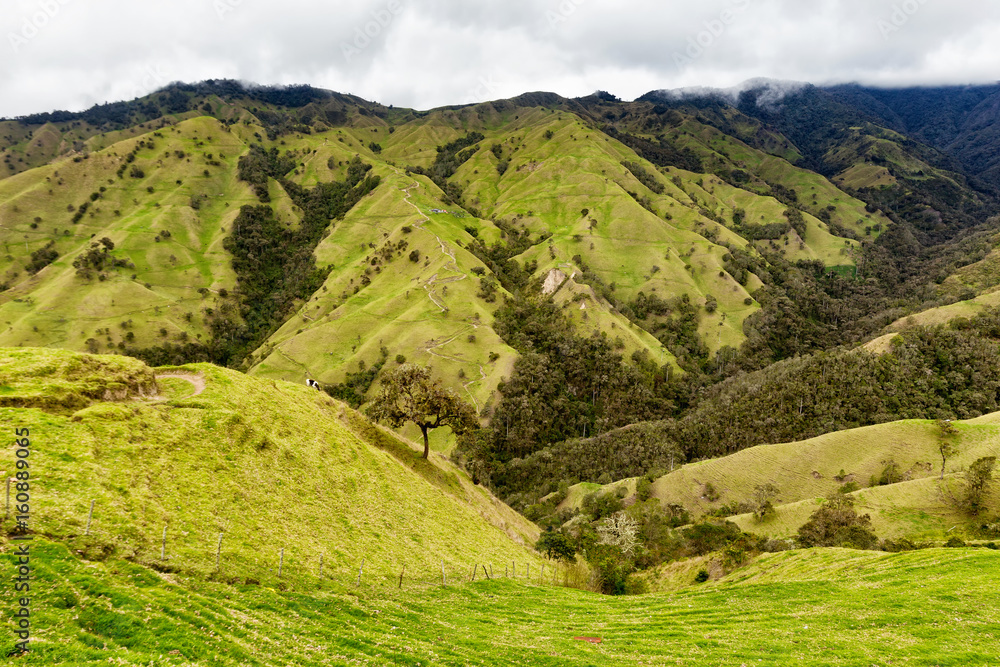 Pasture land in the mountains outside of the town of Salento, Colombia.