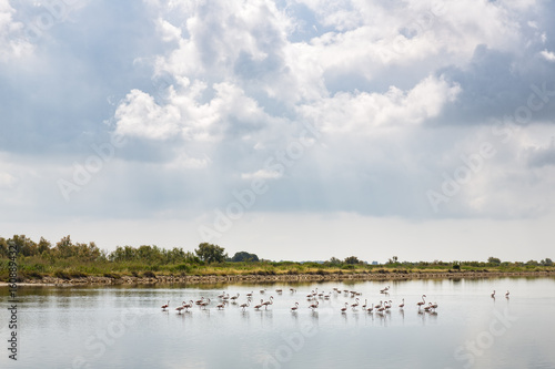 Landschaft in der Camargue, Südfrankreich