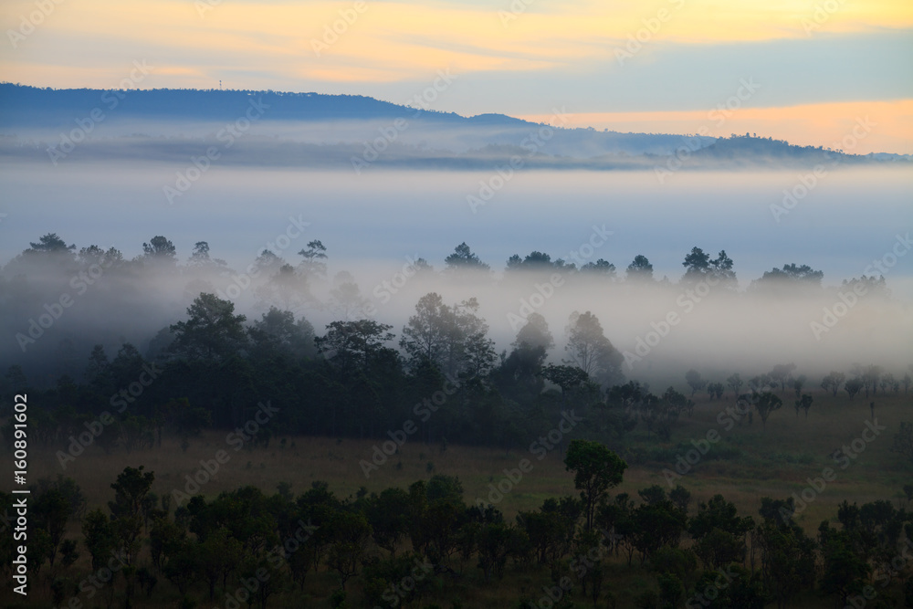 Misty morning sunrise at Thung Salang Luang National Park Phetchabun,Tung slang luang is Grassland savannah in Thailand