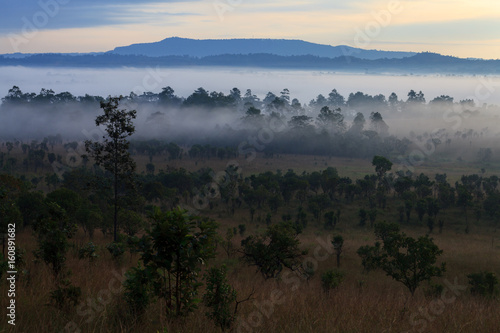 Misty morning sunrise at Thung Salang Luang National Park Phetchabun,Tung slang luang is Grassland savannah in Thailand