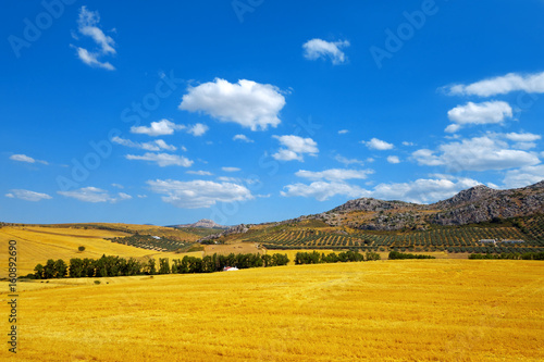 Landscape in Andalusia.