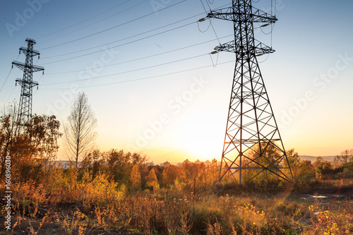 Electric transmission lines in the forest