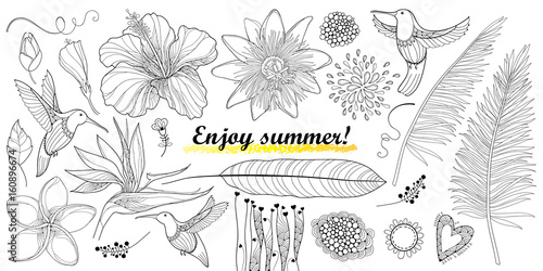 Vector set with outline Hummingbird or Colibri and tropical flowers isolated on white. Strelitzia, hibiscus, plumeria, passiflora and palm leaf in contour for enjoy summer design and coloring page. 
