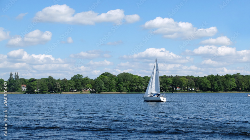 Fototapeta premium Segeln auf dem Ruppiner See