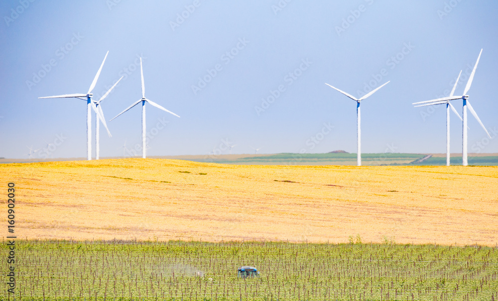 Tractor working between the ecological grape rows in vineyard with agriculture fields and wind turbines in the background Tractor working between the ecological grape rows in vineyard with agriculture fields and wind turbines in the background