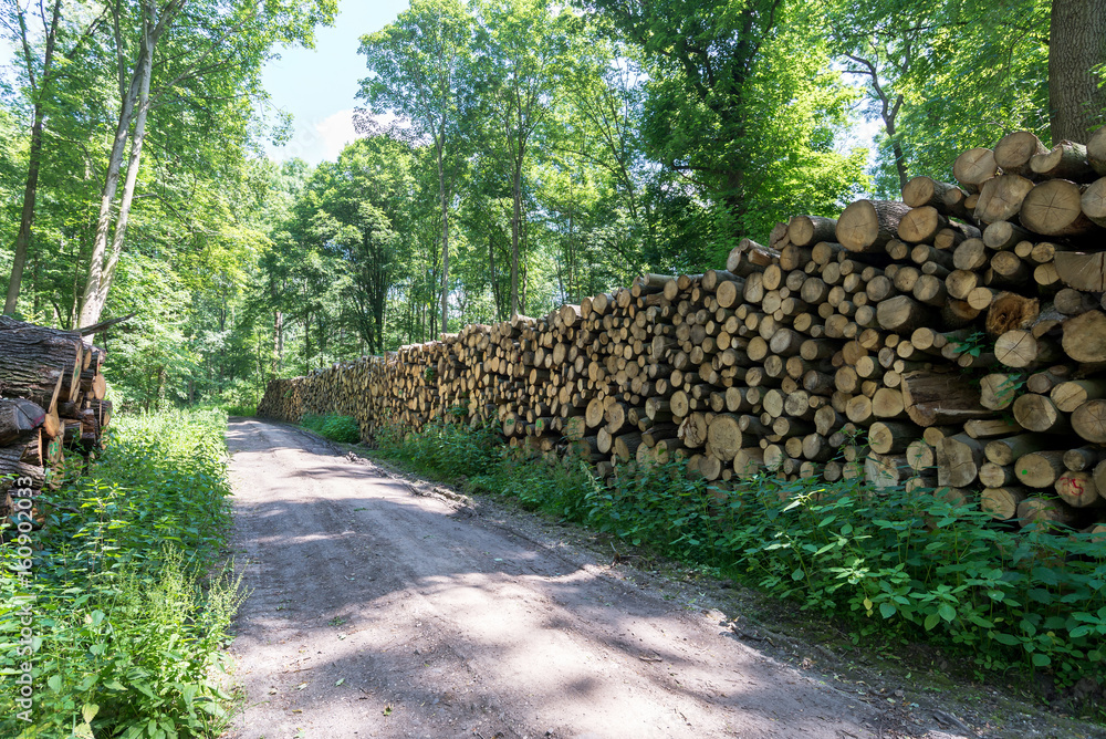 Holzlagerung