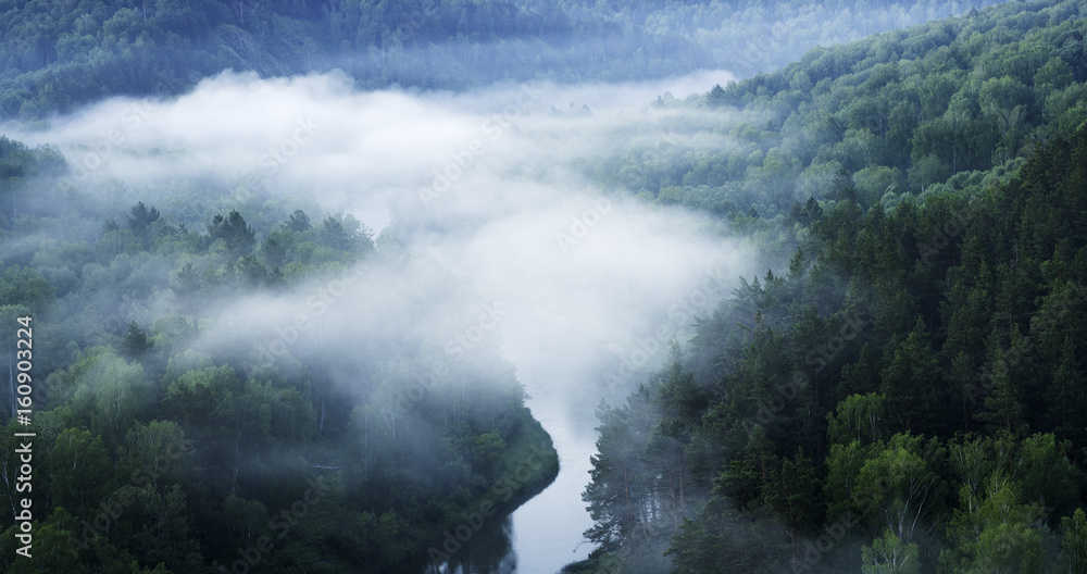 Mountain forest landscape. Trees and the river in the fog in the early morning. Panorama.